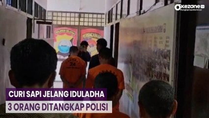 Tiga Orang Ditangkap akibat Curi Sapi untuk Iduladha