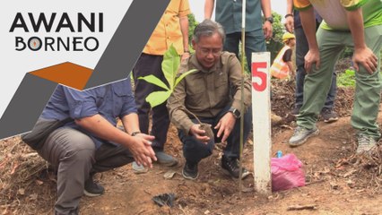 Jabatan Hutan Sabah giat capai sasaran tanam 40 juta pokok