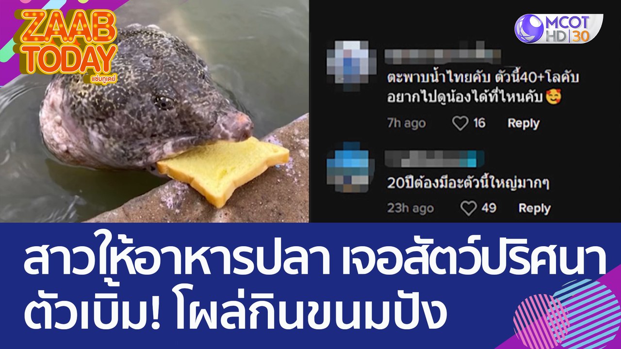 สาวให้อาหารปลา เจอสัตว์ปริศนาตัวเบิ้ม! โผล่กินข...