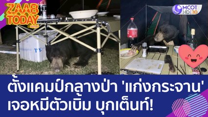ระทึกกลางดึก! ตั้งแคมป์กลางป่า 'แก่งกระจาน' เจอหมีตัวเบิ้ม บุกเต็นท์รื้อโต๊ะอาหาร (22 มิ.ย. 66) แซ่บทูเดย์
