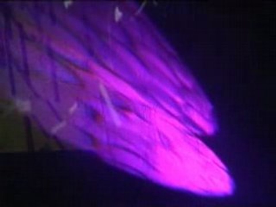 Uzulprod