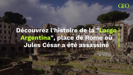 Largo Argentina : découvrez l’histoire de la place de Rome où Jules César a été assassiné
