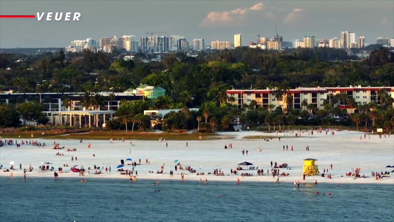 Giant African Land Snail Sighting Causes South Floridian Quarantine Zone