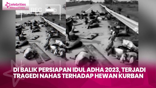 Di Balik Persiapan Idul Adha 2023, Terjadi Tragedi Nahas terhadap Hewan Kurban