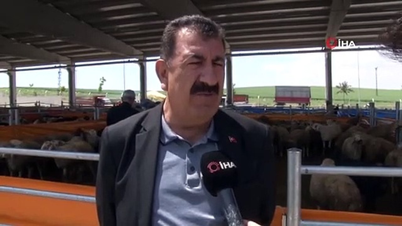TÜDKİYEB Genel Başkanı Çelik: "Fiyatlar çok makul ve küçükbaşa da çok ilgi var"