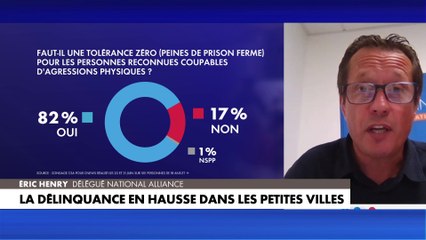 Eric Henry : «Si on ne répond pas pénalement avec fermeté, on n'arrêtera pas la délinquance et la criminalité»