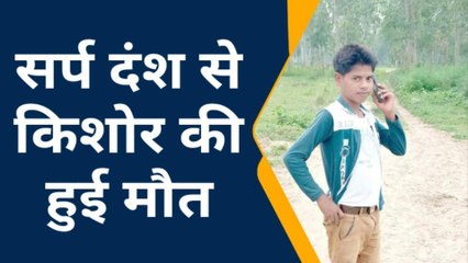 शाहजहांपुर: छत पर सो रहे किशोर की सर्प दंश से हुई मौत, घर में मचा कोहराम