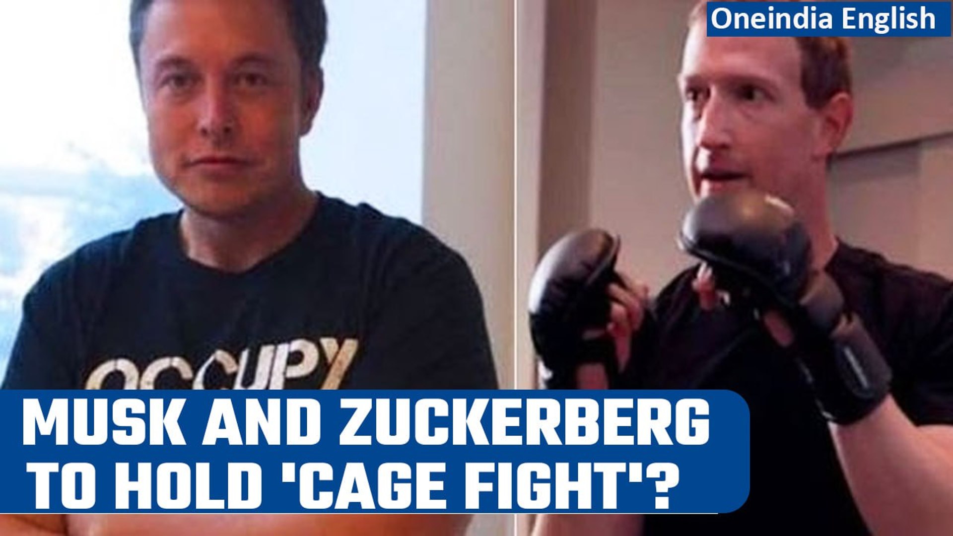 ⁣Mark Zuckerberg accepts Elon Musk’s cage match challenge; writes ‘send location’ | Oneindia News