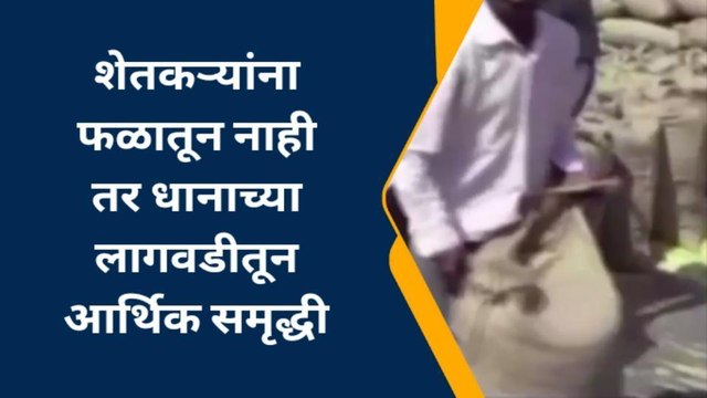 शेतकऱ्यांसाठी दिलासादायक बातमी..! तुम्ही होणार मालामाल; पहा कशामुळे...