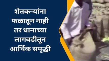 शेतकऱ्यांसाठी दिलासादायक बातमी..! तुम्ही होणार मालामाल; पहा कशामुळे...