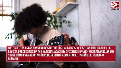 El pelo rizado mantenía frescos a los primeros humanos