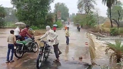 Tải video: The faces of the farmers blossomed due to the first monsoon rains