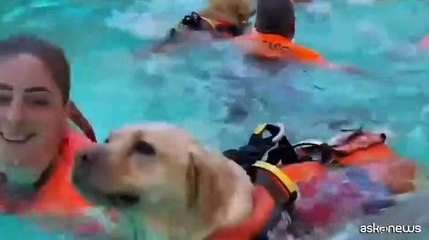 A Zoomarine due giornate in compagnia dei cani di salvataggio