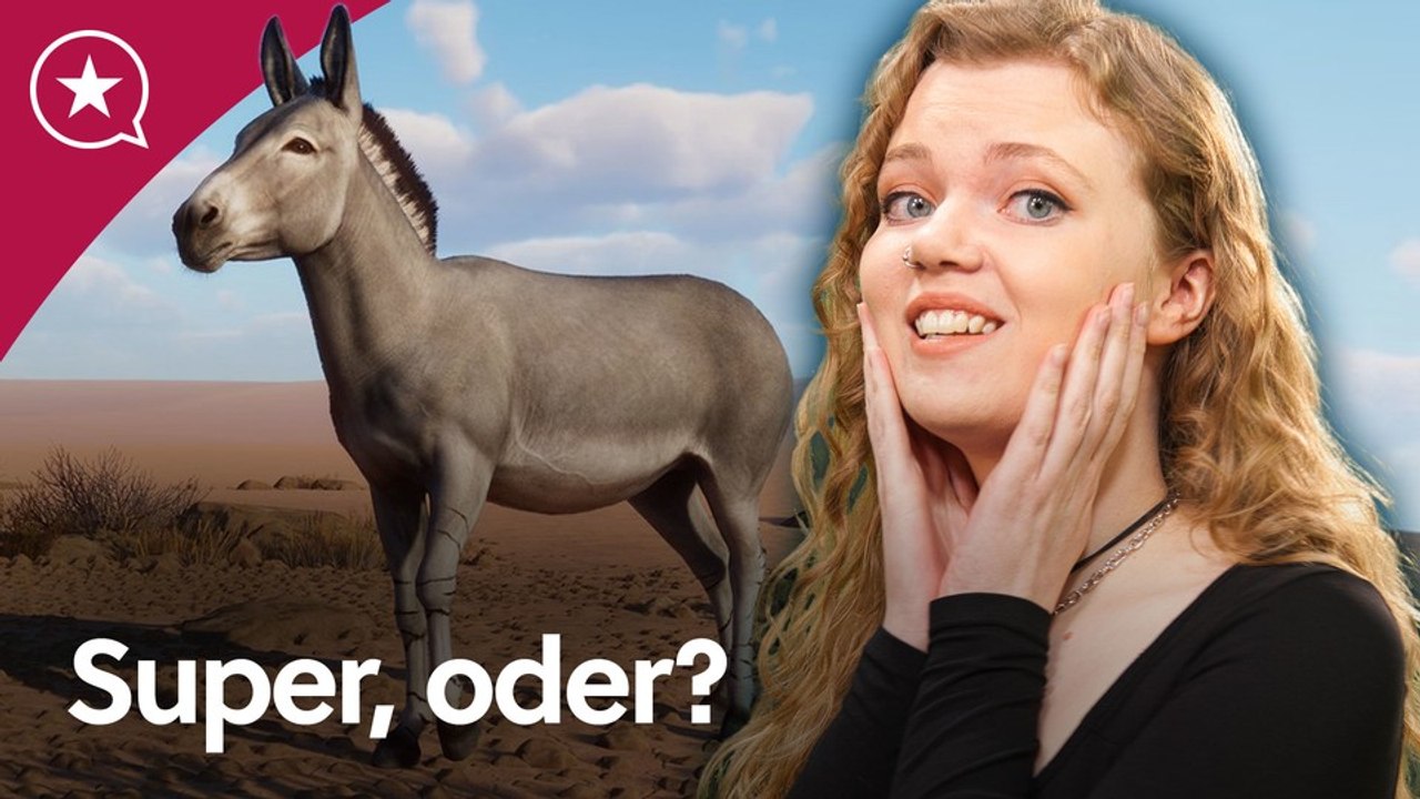 Das beste Aufbauspiel, wenn mich Anno 1800 nervt