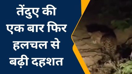 देखिए अभी भी खुला घूम रहा है ये खतरनाक तेंदुआ, रात में बंद रखें अपना दरवाजा