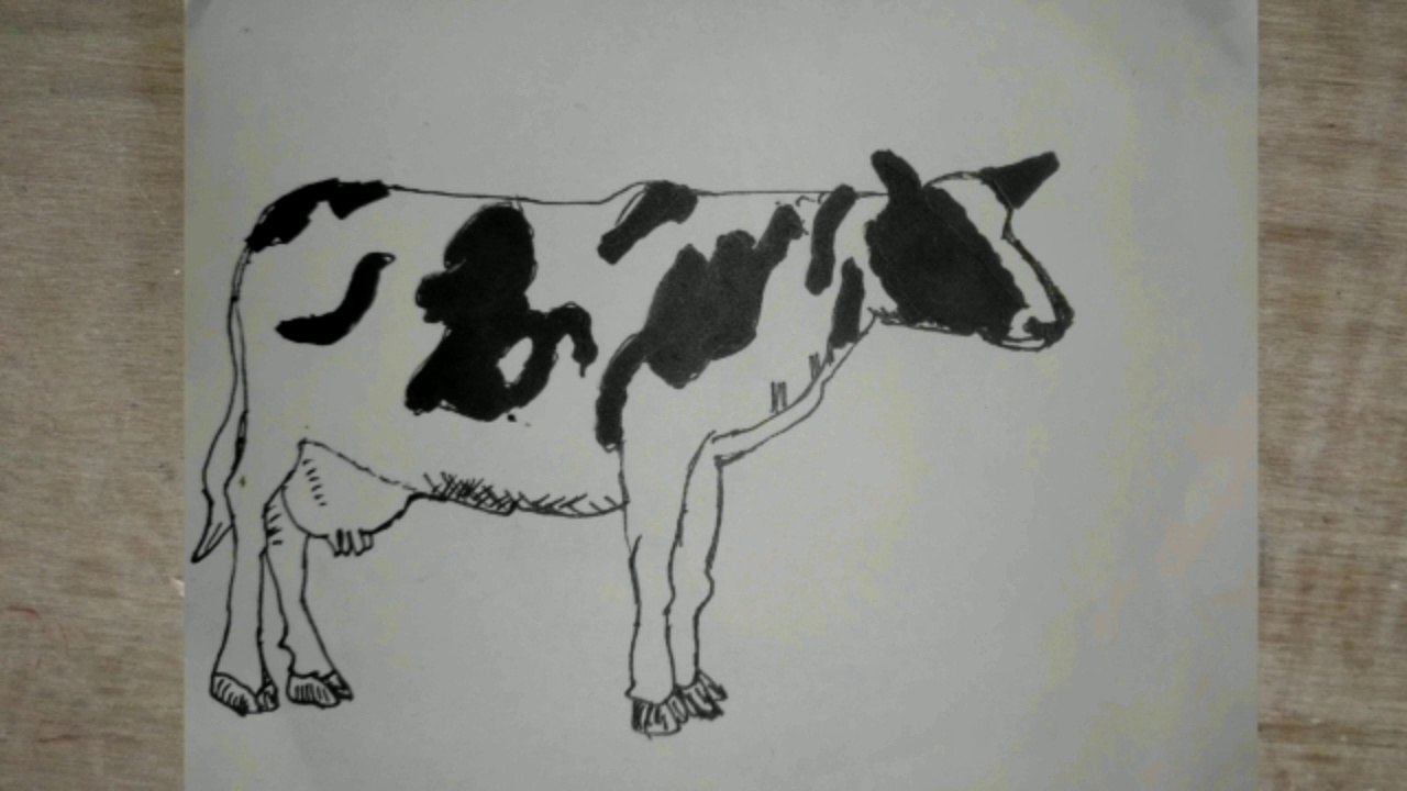How to draw Cow