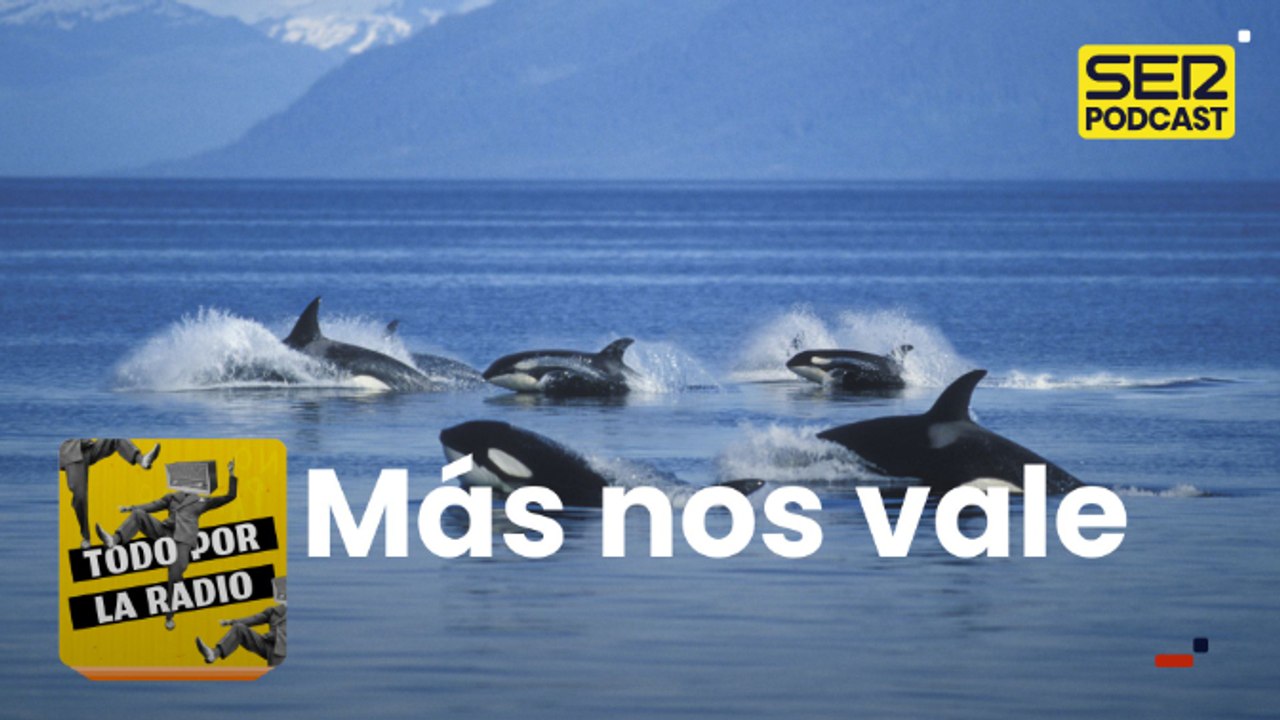 Más nos vale
