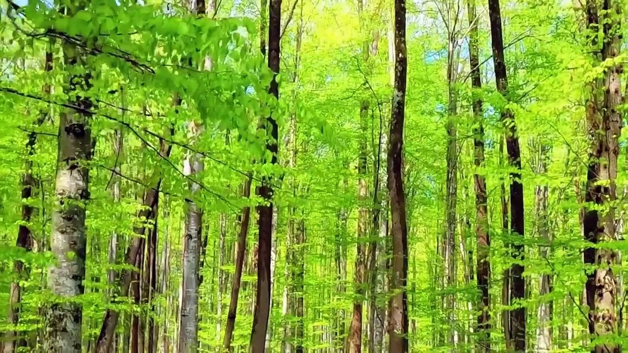 Otilia - Dimelo papito (Baga Banini remix) Top Models, Music video 2023