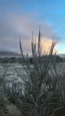 Frosty Winter Commute in New Zealand