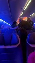 Woman Removed From Airplane by Police Officers