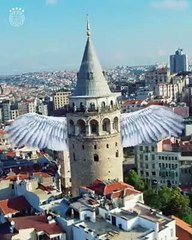 Apresentação Dzeko