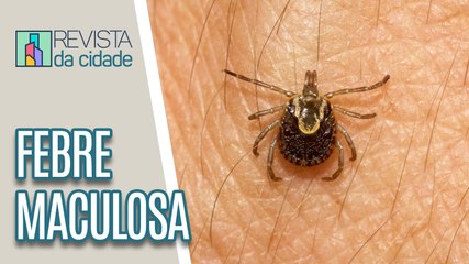 Tudo sobre a Febre Maculosa - Revista da Cidade (22/06/2023)