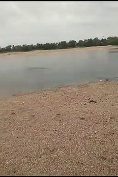 Luni River: Barmer News: टापू बन गए थार के गांव, लोग घरों में कैद