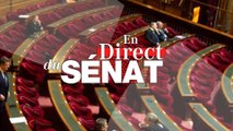 En direct du Sénat - En Direct du Sénat du 22 juin