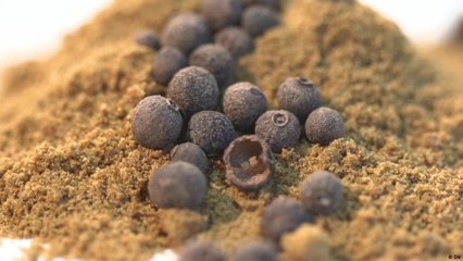 ازدهار سوق التوابل