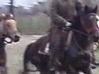 Galop dans le marais