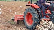 Traktor rotary combine harvester wheel loader truk muatan berat truk tronton truk fuso