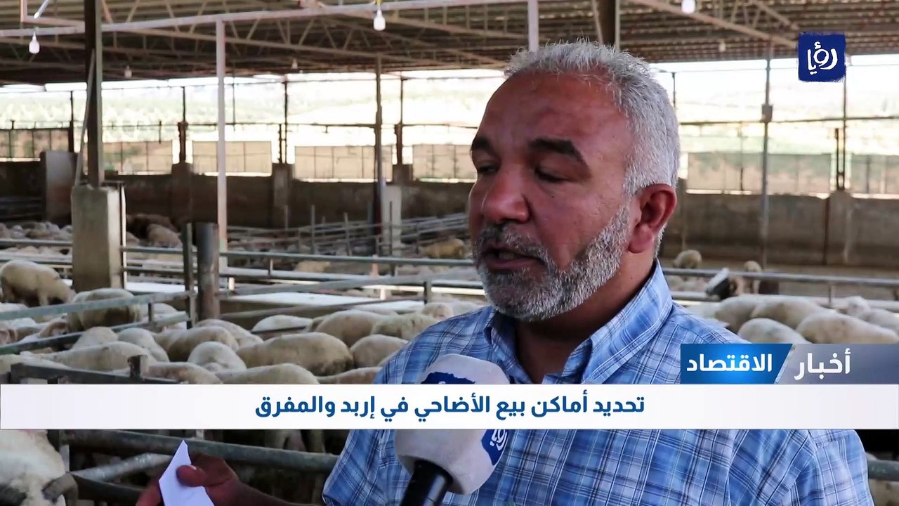 تباين آراء الأردنيين حول أسعار الأضاحي