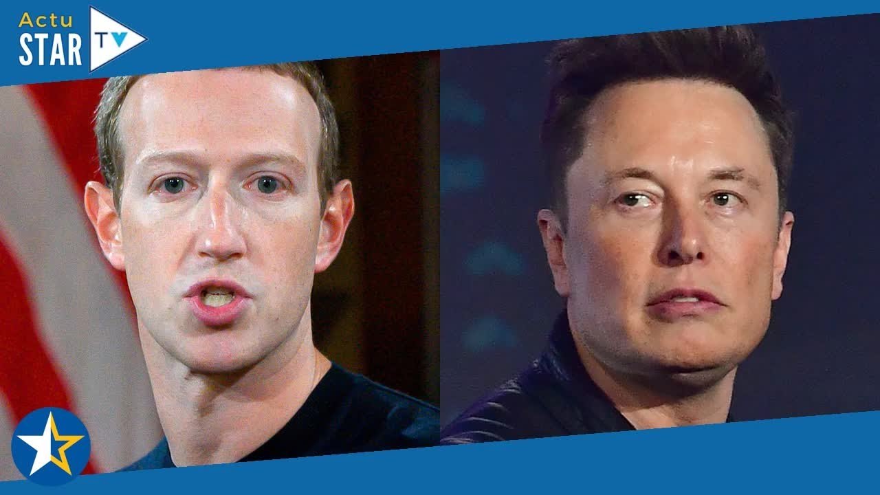 Elon Musk vs Mark Zuckerberg : le combat dans un octogone devrait