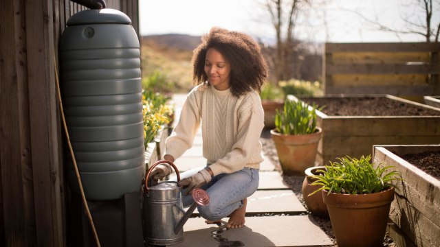 What Is A Rain Barrel And Can It Actually Save You Money?