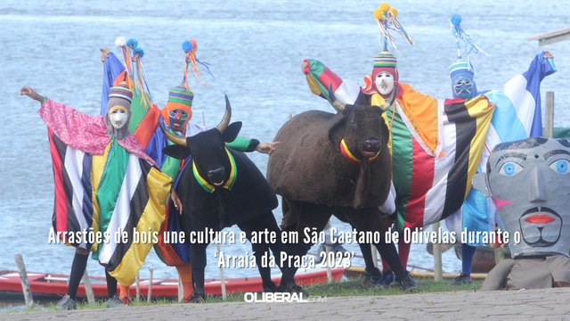 Arrastões de bois une cultura e arte em São Caetano de Odivelas durante o ‘Arraiá da Praça 2023’