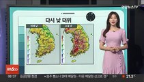 [날씨클릭] 다시 한낮 더위 성큼…강원·경북 오후 소나기