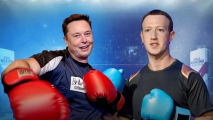 إيلون ماسك يتحدى زوكربيرغ في ساحة الملاكمة.. هل ينتصر العصفور الأزرق؟