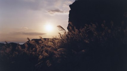 Akira Kosemura - Zoetrope (Visualizer)