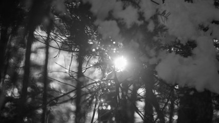 Akira Kosemura - Hereafter (Visualizer)