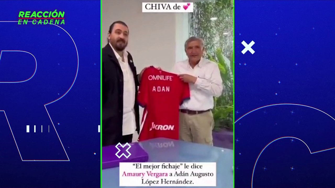 ¿Amaury Vergara debería de ser multado?