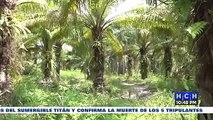 ¡Plantón! Trabajadores de fincas invadidas en El Progreso exigen intervención porque están quedando sin 