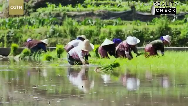 The 20-year war in Afghanistan launched by the U.S. cost a staggering $2.3 trillion, resulting in human rights abuses,