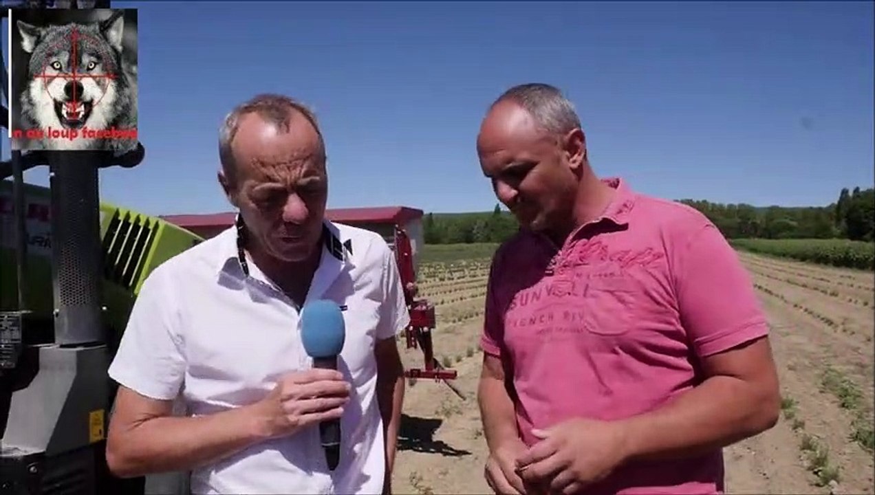 le point avec Laurent Depieds