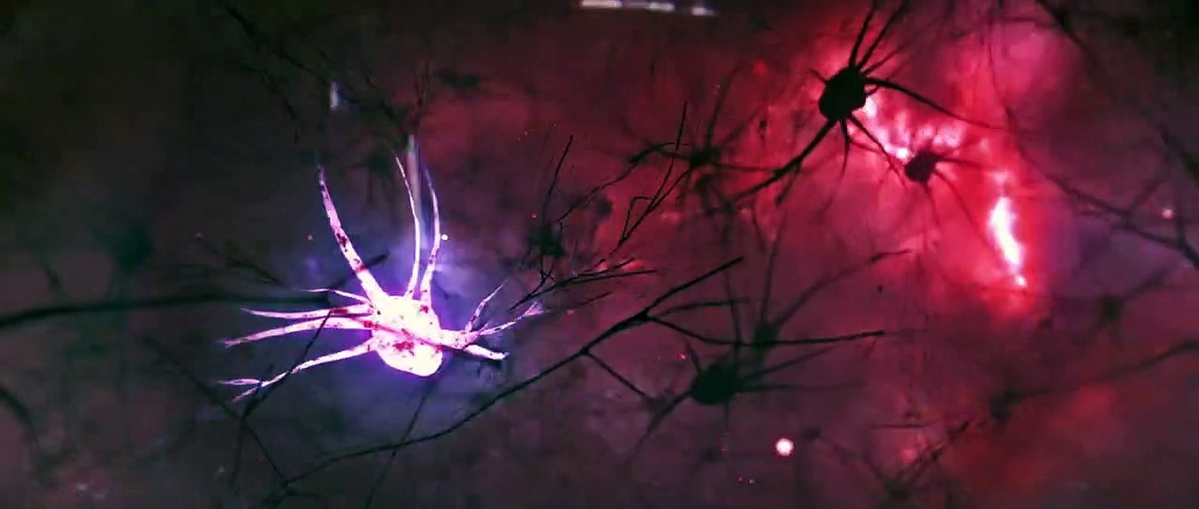 The Tomorrow Job Trailer DF