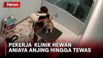 Pekerja Klinik Hewan di Batam Aniaya Anjing Pelanggan hingga Tewas