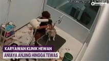 Viral! Karyawan Klinik Hewan Aniaya Anjing hingga Tewas di Batam