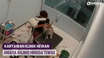 Viral! Karyawan Klinik Hewan Aniaya Anjing hingga Tewas di Batam