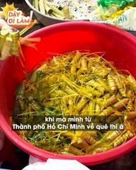 Kiếm hơn 900tr/tháng từ bánh dừa, chàng trai khiến CĐM không khỏi nể phục