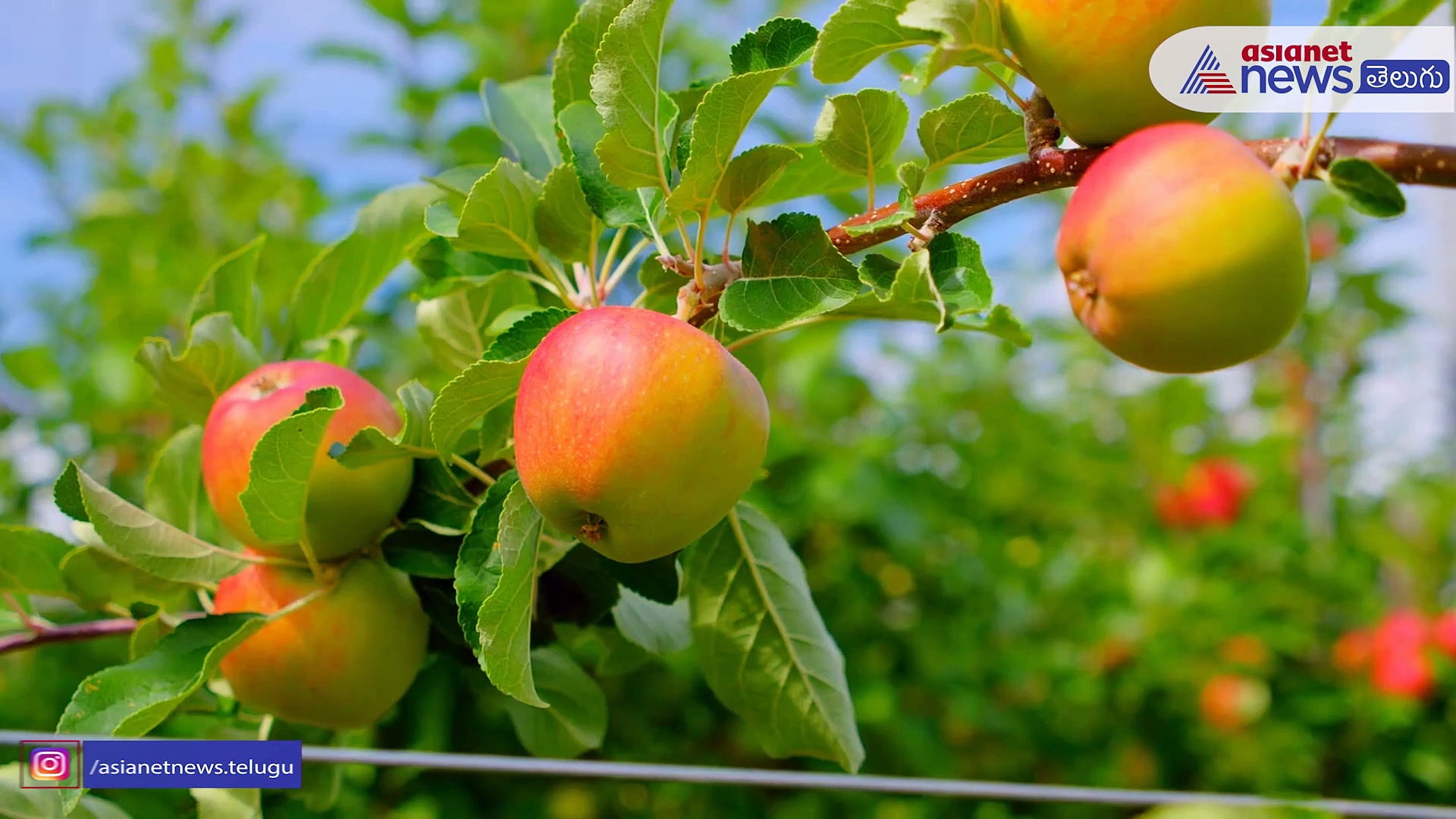 ఏషియాలో అత్యంత ధనిక గ్రామం ఇదే... 
