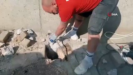 Yağmur borusuna sıkışan kedi 5 saatte böyle kurtarıldı